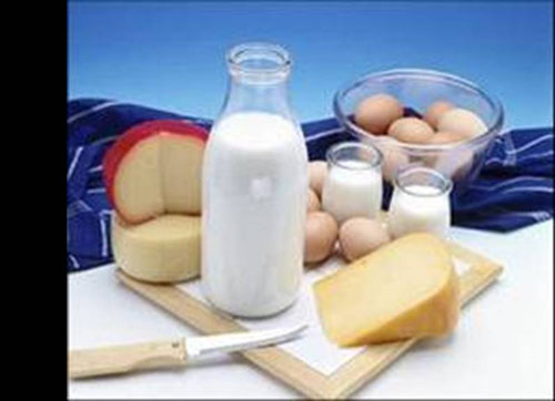 具有蛋白質的相關圖片