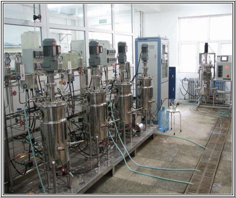 實(shí)驗(yàn)室發(fā)酵系統(tǒng)